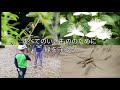 目標15:陸の豊かさも守ろう