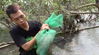 Fishing Videos , Unique Fishing Catch Big Fish,  Survival Bushcraft, Survival In The Forest