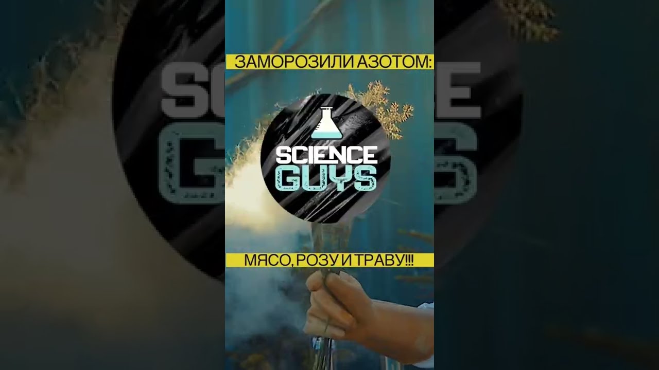 Liquid nitrogen experiments. What happens when trying to break frozen meat? 