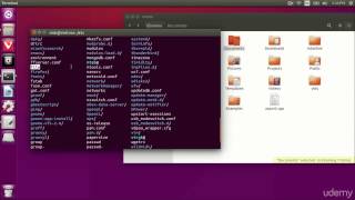 (12) Administrative privileges in the Linux terminal