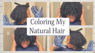 Coloring My Natural Hair with Adore Semi Permanent Hair Color: Purple Black