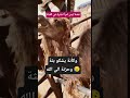 وكانة يشكو الي الله