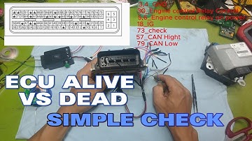 How to Tell If an Engine ECU Is Alive or Dead – Easy Guide for Beginners #ecurepair #learningecu