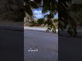 لا حد بعدك يملى عيوني يللي ابتديت الحب معاك