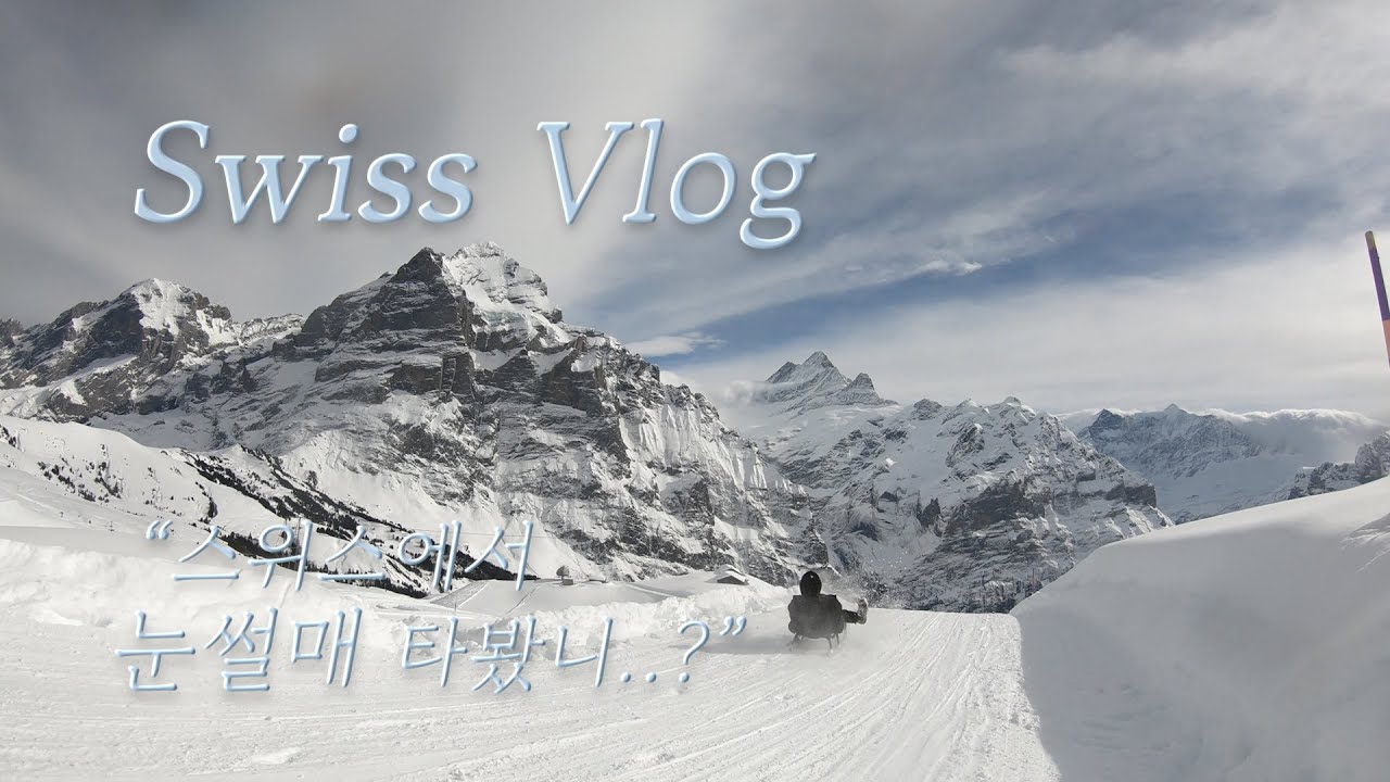 🇨🇭스위스 눈썰매 vlog 1탄 l 그린델발트, 피르스트 l Swiss sledging (피르스트 편)