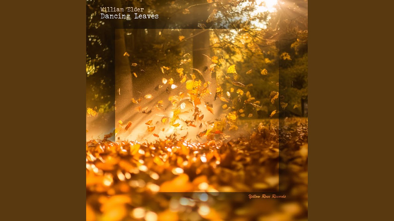 Guarda Dancing Leaves su YouTube Guarda Dancing Leaves su YouTube