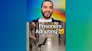 Maximum security prisoners adopting cats 😸