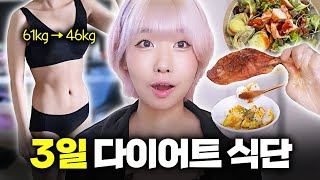 165/47의 3일간 존맛 다이어트 식단 모음