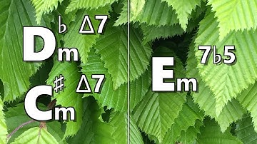 Dbm maj7 (C#m maj7) to Em7b5 Backing Track