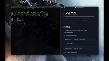 SSLyze Basic Usage