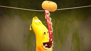 LARVA - HANGING ON | Cartoon Movie | Cartoons For Children | Larva Cartoon | LARVA Official