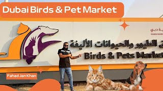 Dubai Pet & Bird Market | Pet Market in Dubai