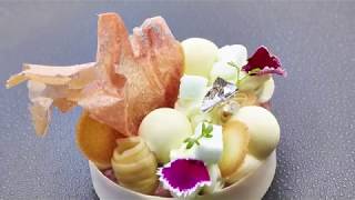 Découverte du restaurant Les Terrasses de Lyon - Lyon 5ème