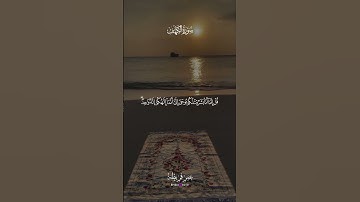 تلاوة تلامس القلوب وتملأ النفوس خشوعًا بصوت الشيخ عمر قريطنة 💫