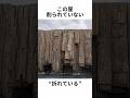 この崖、削られていない。折れている。