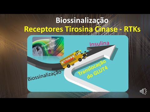 Vídeo: Descoberta De Uma Suposta Assinatura Proteica Baseada No Sangue Associada à Resposta à Inibição Da ALK Tirosina Quinase