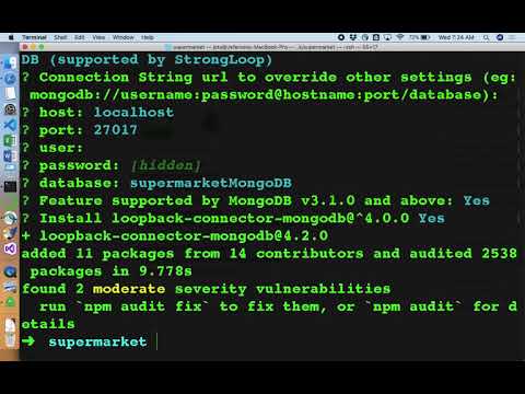 Instalación de Loopback, Creación de Datasource y Modelos