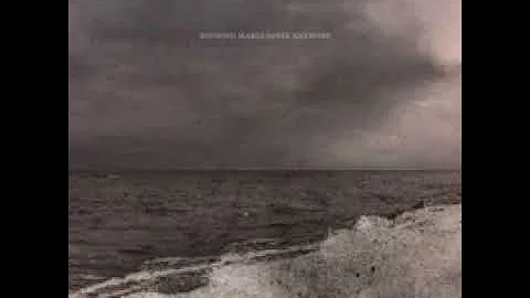 NOTHING MAKES SENSE ANYMORE |Daniel Gunnarsson| Stardust..#stardustmusic #countrymusic