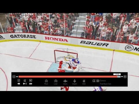 longest nhl goal ever