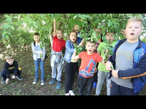 Video: Predstavlja Li Ponašanje Potrošača Prema Obući Za Ozljede Donjih Ekstremiteta Kod Trkača I šetača? Prospektivna Studija