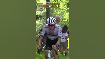 TADEJ POGACAR RIPS THE DAUPHINE APART! The world champion is clear at the head of the race 🙌