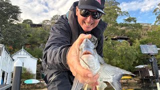 2026 BREAM Australian Open | Day 1 Highlights