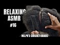 Relaxing asmr headscratching 16 ms pks crochet braids