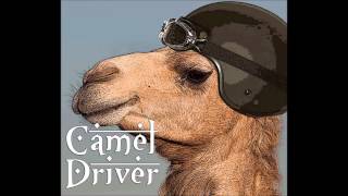 Miniatura del video "Camel Driver - Wedding"