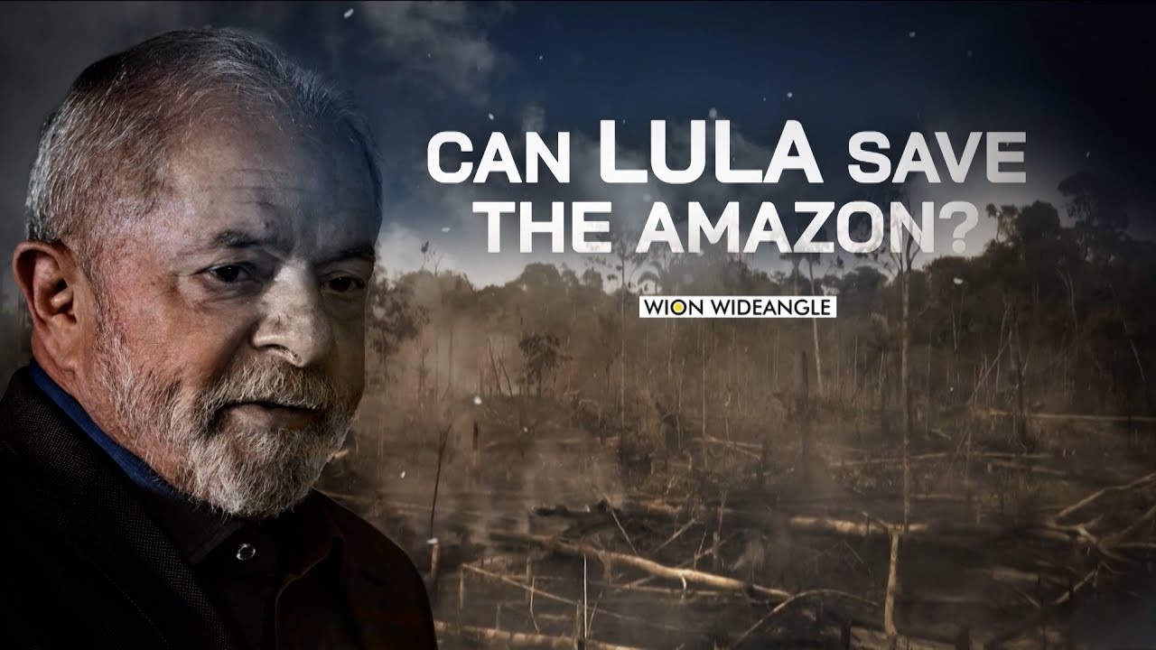 WION Wideangle | Can Lula Save the Amazon? - YouTube