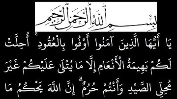 سورة المائدة مكتوبة كاملة بخلفية سوداء بالخط العثماني بدون صوت