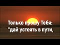 Где ты прекрасная