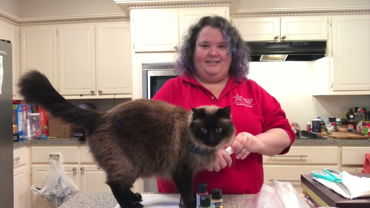 Family Art and Activities:  Painting in Plastic  - Spring 2022 -  Ep 2