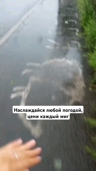 я и не знала как люблю дождь - YouTube