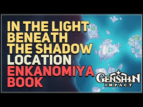 In the Light Beneath the Shadow Genshin Impact