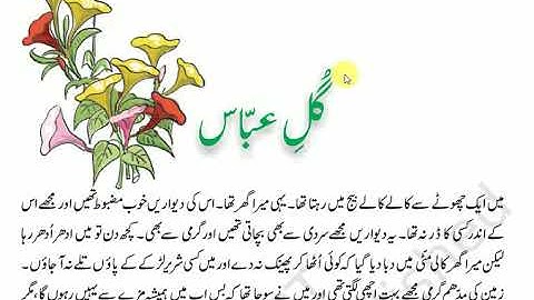 urdu apni zaban class 8 chapter 6 gule abbas || ncert|| urdu|| class 8|| apni zubaan||