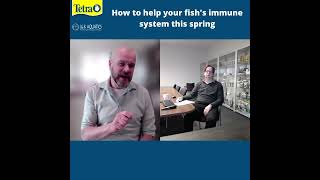 How to help your fish&#39;s immune system this spring.