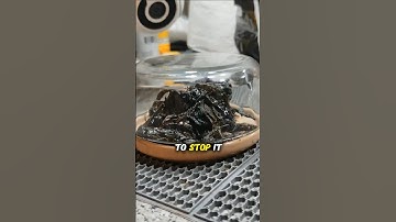 TikToker Finds Growing Meteorite in Backyard! 😳