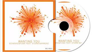 Schwarz & Funk ft Storm Marrero - Wanting You (Miller Cruz Brazil Mix)