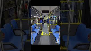 nouveau bus stm