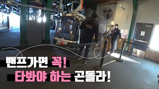 밴프 곤돌라 탑승 / 뷰 구경 / 설파산 전망대 / 캐나다 로키 자유여행