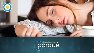 ¿Por qué nos da sueño después de comer? (2 de 3)  Todo tiene un porqué