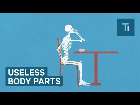 Blueprints For Humans Video