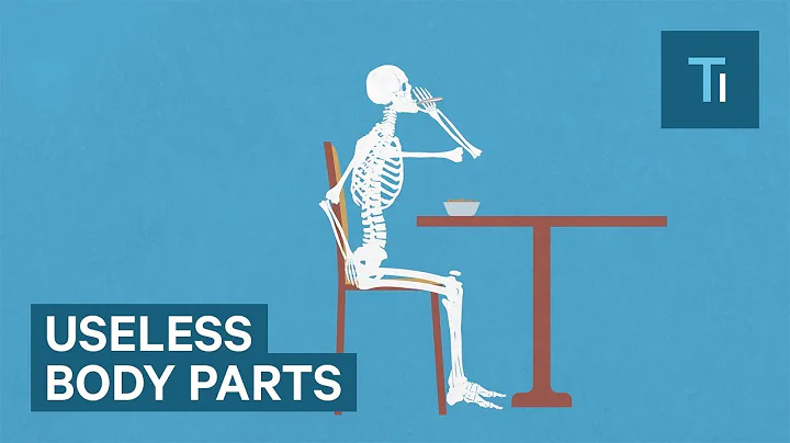 5 Useless Body Parts Left Over From Evolution