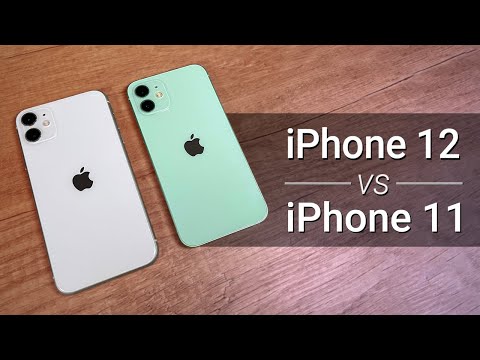 iPhone 11 vs iPhone 12 — какой купить? Сравнение!