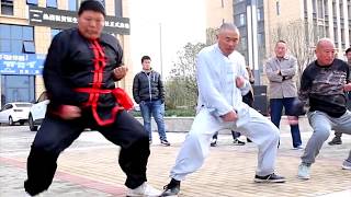 Kung Fu Fools & Martial Art Fails Poster