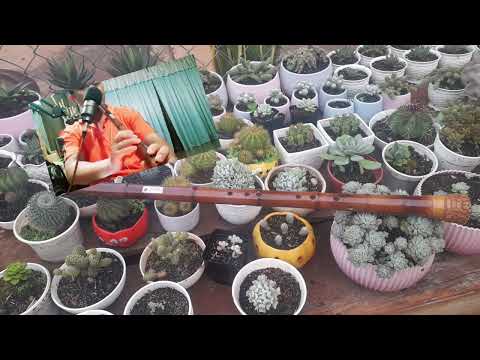 Video test tiêu ( C4 ) vip gửi khách ở thái nguyên / mua... - youtube