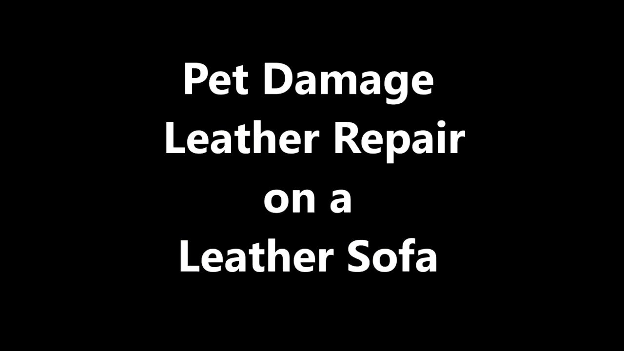 Leather Repair Videos, St. Louis