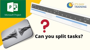 How to split tasks in Microsoft Project