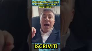 BOCCHINO ATTACCA DI MAIO: PROFESSORE A LONDRA ECCO PERCHÉ!