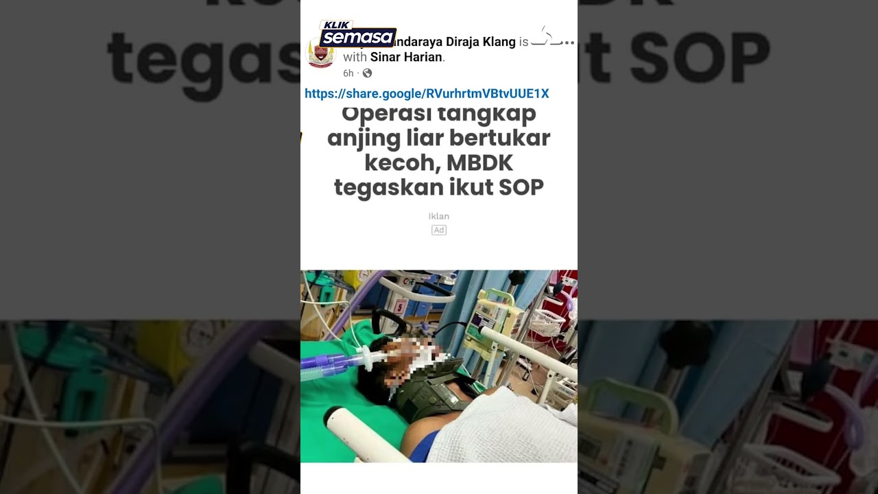MBDK hands over dog death incident probe to police